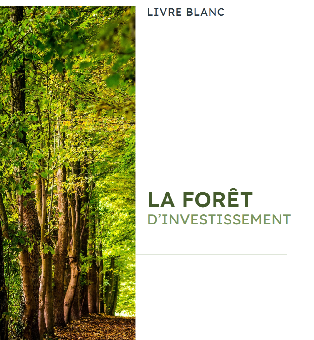 livre blanc : la forêt d'investissement